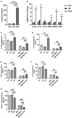 Amlexanox and Forskolin Prevents Isoproterenol-Induced Cardiomyopathy by Subduing Cardiomyocyte Hypertrophy and Maladaptive Inflammatory Responses